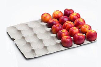 apple tray application