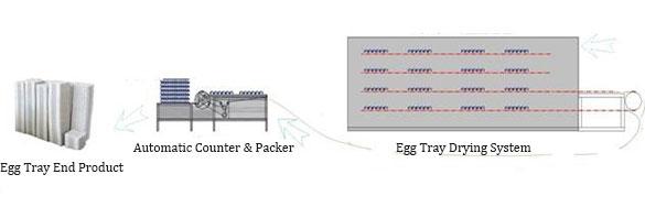 egg tray packaging process