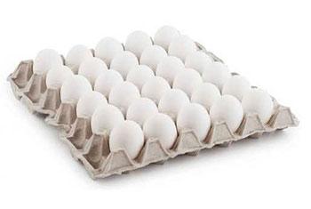 white egg tray products