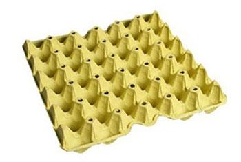 yellow egg tray product
