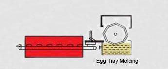 egg tray molding