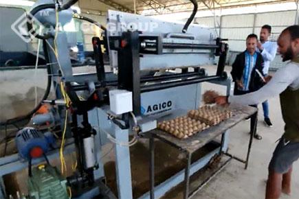 egg tray production in ethiopia